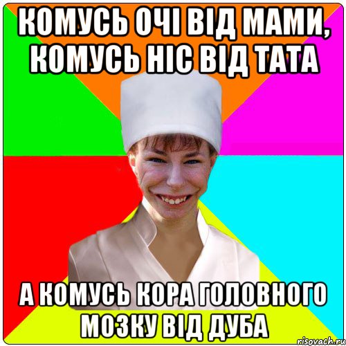 Комусь очі від мами, комусь ніс від тата А КОМУСЬ КОРА ГОЛОВНОГО МОЗКУ ВІД ДУБА