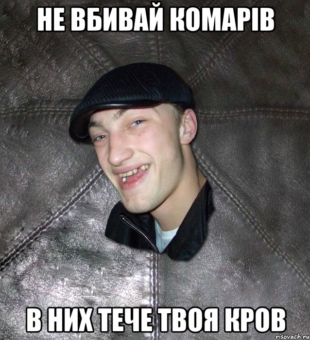 Не вбивай комарів в них тече твоя кров, Мем Тут Апасна