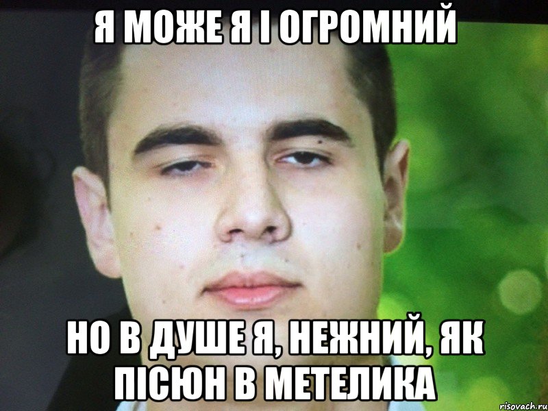 я МОЖЕ Я І ОГРОМНИЙ НО В ДУШЕ Я, НЕЖНИЙ, ЯК ПІСЮН В МЕТЕЛИКА
