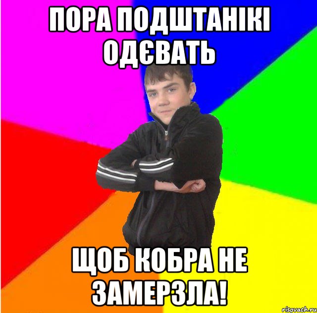 пора подштанікі одєвать щоб кобра не замерзла!