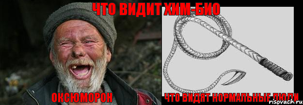 Оксюморон Что видят нормальные люди Что видит хим-био