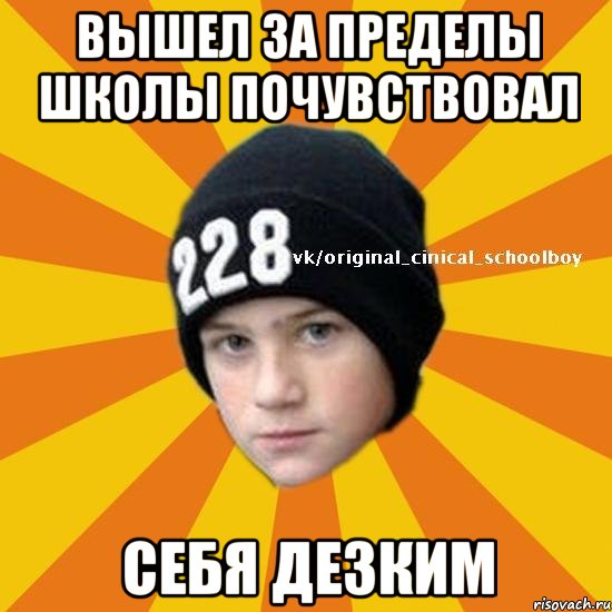 Вышел за пределы школы почувствовал себя дезким, Мем  Циничный школьник