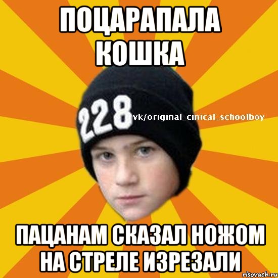 Поцарапала кошка Пацанам сказал ножом на стреле изрезали, Мем  Циничный школьник