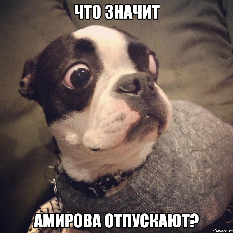 Что значит амирова отпускают?, Мем Цивильный Дагестан