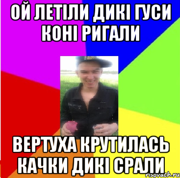 ой летіли дикі гуси коні ригали вертуха крутилась качки дикі срали