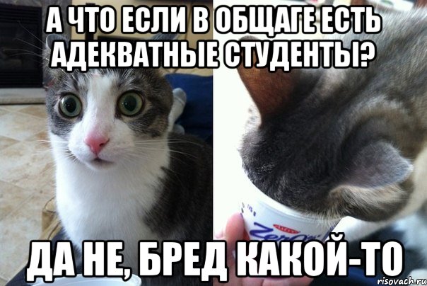 а что если в общаге есть адекватные студенты? Да не, бред какой-то, Комикс  Да не бред-какой-то (2 зоны)