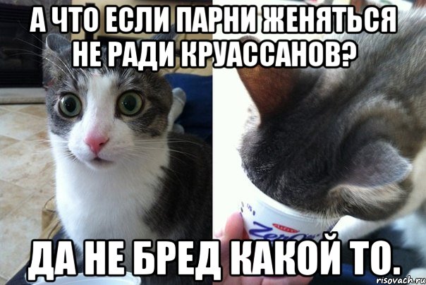 А что если парни женяться не ради круассанов? Да не бред какой то., Комикс  Да не бред-какой-то (2 зоны)