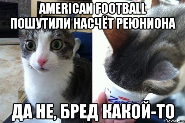 american football пошутили насчёт реюниона да не, бред какой-то, Комикс  Да не бред-какой-то (2 зоны)