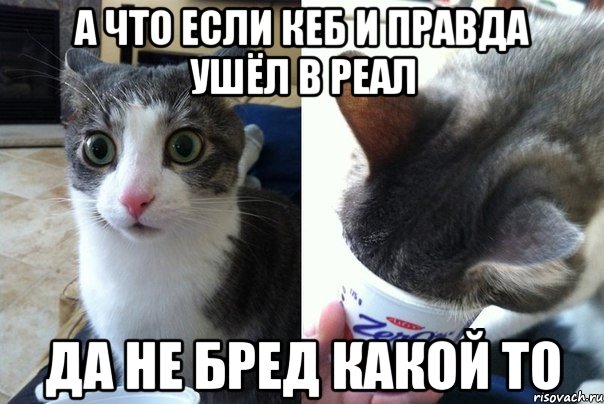 а что если кеб и правда ушёл в реал да не бред какой то, Комикс  Да не бред-какой-то (2 зоны)