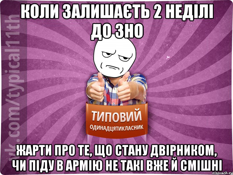 Коли залишаєть 2 неділі до ЗНО Жарти про те, що стану двірником, чи піду в армію не такі вже й смішні