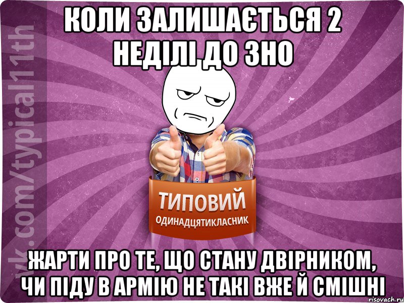 Коли залишається 2 неділі до ЗНО Жарти про те, що стану двірником, чи піду в армію не такі вже й смішні
