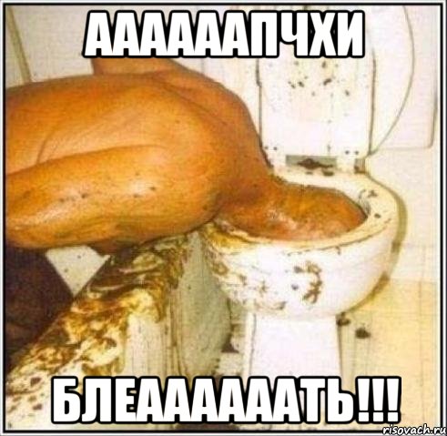 аааааапчхи блеаааааать!!!, Мем Дайвер