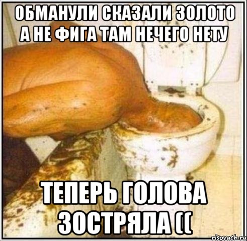 Обманули сказали золото а не фига там нечего нету Теперь голова зостряла ((, Мем Дайвер