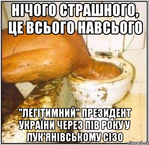 Нічого страшного, це всього навсього "Легітимний" президент України через пів року у Лук'янівському СІЗО, Мем Дайвер