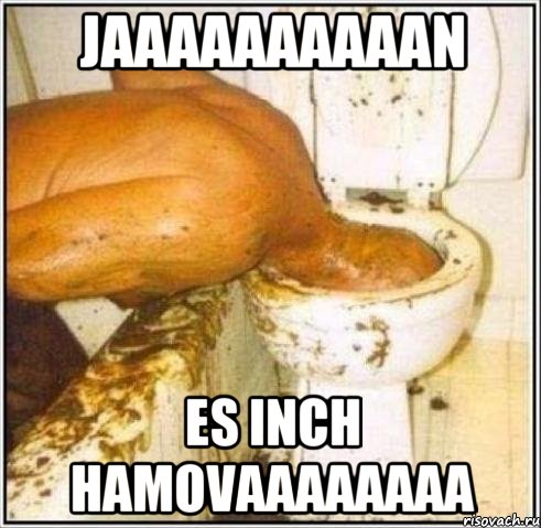 jaaaaaaaaaan es inch hamovaaaaaaaa, Мем Дайвер