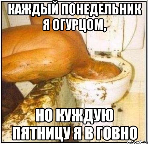 Каждый понедельник я огурцом, НО куждую пятницу я в ГОВНО, Мем Дайвер