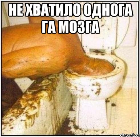 не хватило однога га мозга , Мем Дайвер