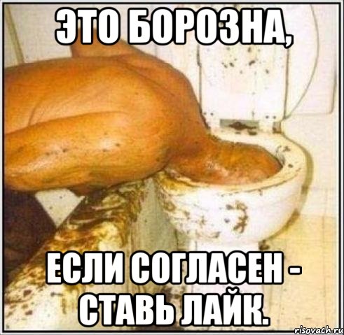 Это Борозна, Если согласен - ставь лайк., Мем Дайвер