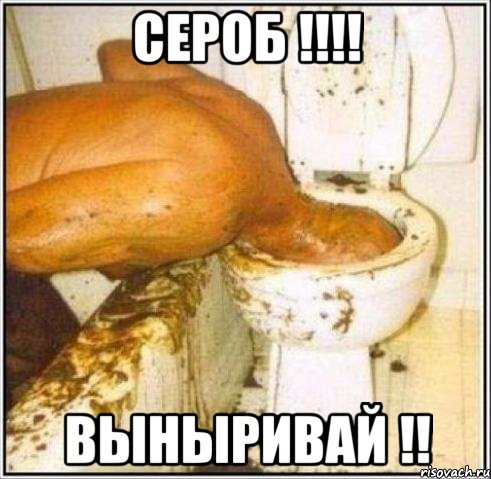 Сероб !!!! Выныривай !!, Мем Дайвер