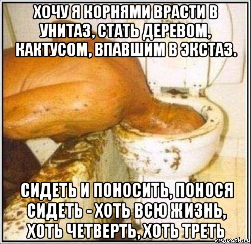 Хочу я корнями врасти в унитаз, Стать деревом, кактусом, впавшим в экстаз. Сидеть и поносить, понося сидеть - Хоть всю жизнь, хоть четверть, хоть треть, Мем Дайвер