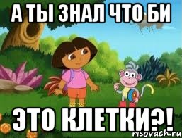 А ты знал что би ЭТО КЛЕТКИ?!