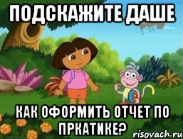 подскажите даше как оформить отчет по пркатике?