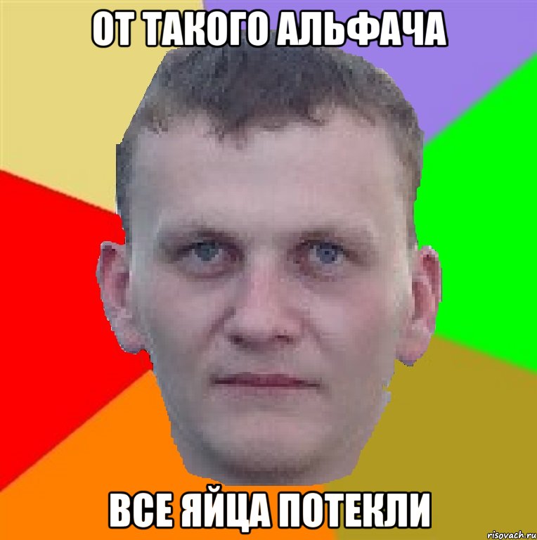 от такого альфача все яйца потекли