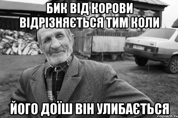 БИК ВІД КОРОВИ ВІДРІЗНЯЄТЬСЯ ТИМ КОЛИ ЙОГО ДОЇШ ВІН УЛИБАЄТЬСЯ