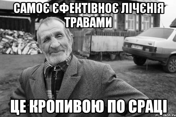 самоє єфектівноє лічєнія травами це кропивою по сраці