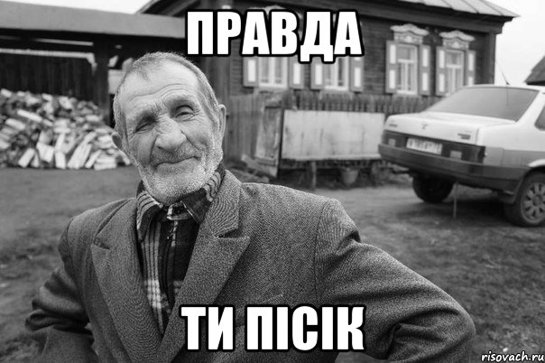правда ти пісік