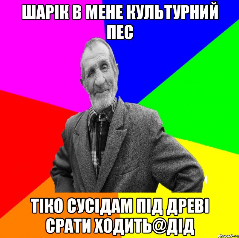 шарік в мене культурний пес тіко сусідам під древі срати ходить@дід, Мем ДЕД