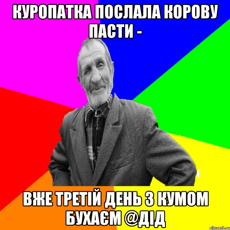 куропатка послала корову пасти - вже третій день з кумом бухаєм @дід, Мем ДЕД