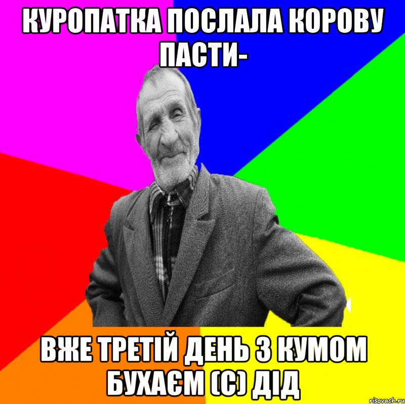 куропатка послала корову пасти- вже третій день з кумом бухаєм (с) ДІД, Мем ДЕД