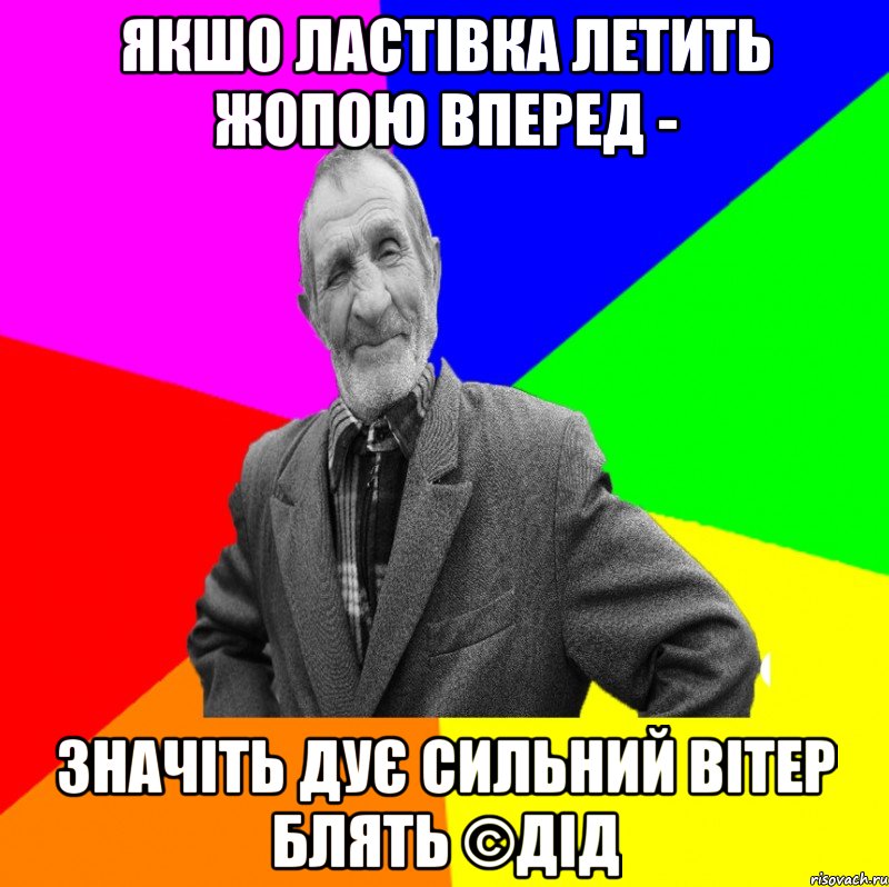 Якшо ластівка летить жопою вперед - Значіть дує сильний вітер блять ©ДІД, Мем ДЕД