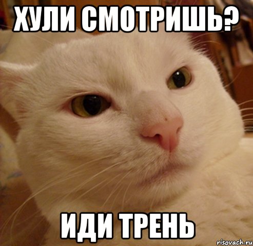 ХУЛИ СМОТРИШЬ? ИДИ ТРЕНЬ