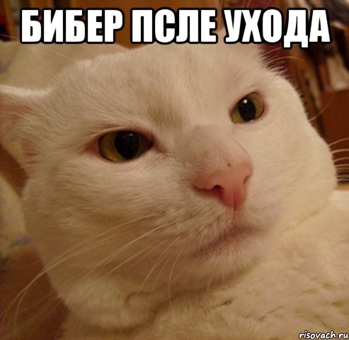 Бибер псле ухода 