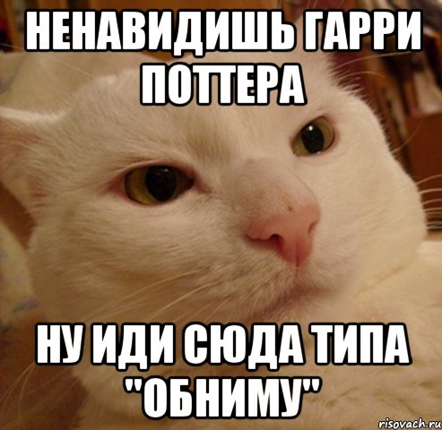 Ненавидишь Гарри Поттера Ну иди сюда типа "обниму"