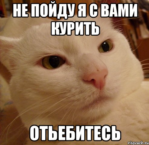 не пойду я с вами курить отьебитесь