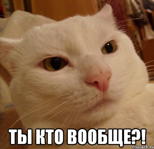  Ты кто вообще?!