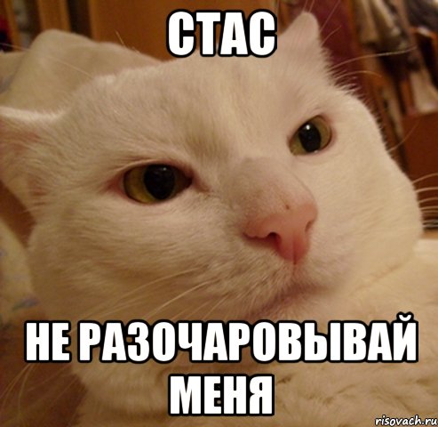 Стас не разочаровывай меня