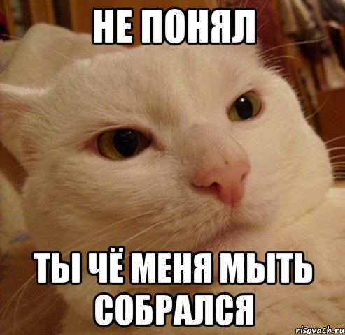 НЕ ПОНЯЛ ТЫ ЧЁ МЕНЯ МЫТЬ СОБРАЛСЯ