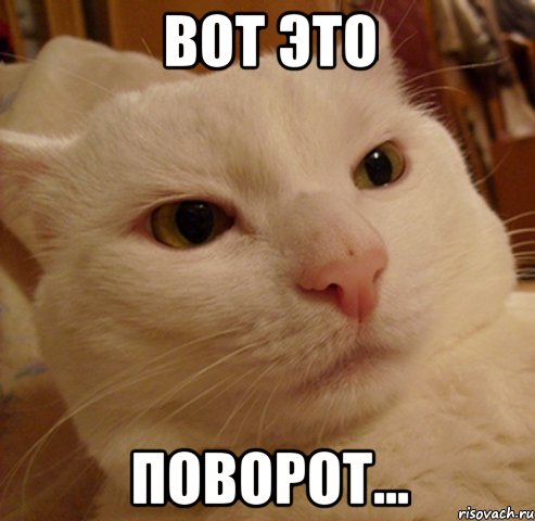 Вот это поворот...