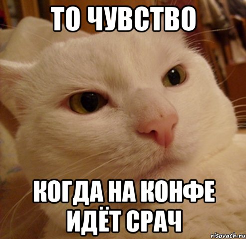 то чувство когда на конфе идёт срач