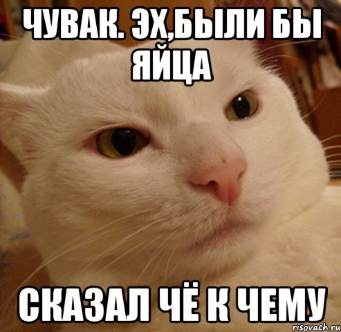 чувак. Эх,были бы яйца сказал чё к чему