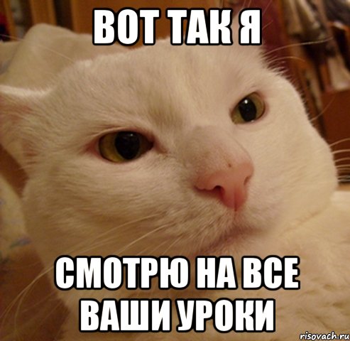вот так я смотрю на все ваши уроки