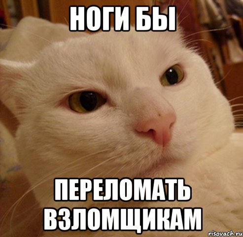 Ноги бы переломать взломщикам