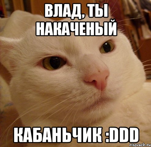 Влад, ты накаченый кабаньчик :DDD