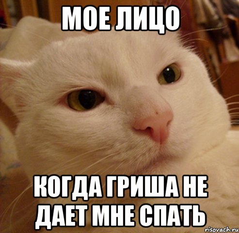 МОЕ Лицо когда гриша не дает мне спать