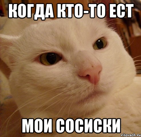 КОГДА КТО-ТО ЕСТ МОИ СОСИСКИ