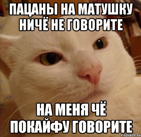 Пацаны на матушку ничё не говорите На меня чё покайфу говорите, Мем Дерзкий котэ